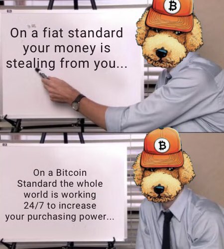 05d4f329b79313055b258e5f86528ef180d001c73f122ab81e6f73b9025e94e1.jpeg