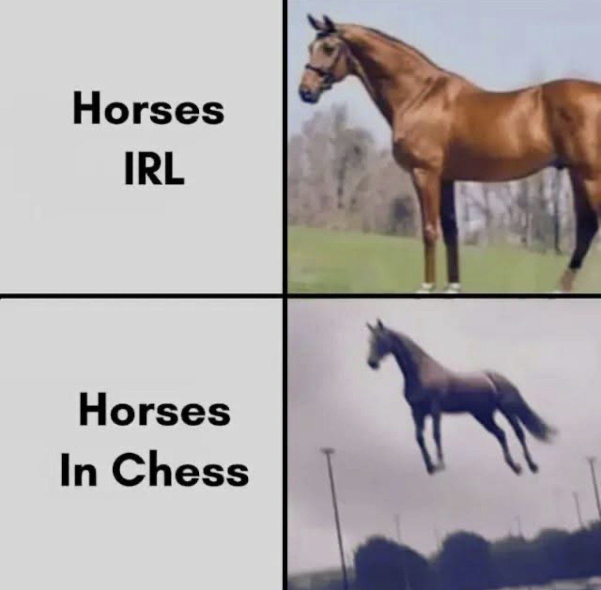 39ef49814b771156a0854af734d25b96acecb61d6a5283d41f2d44b1f9fe00b2.jpeg