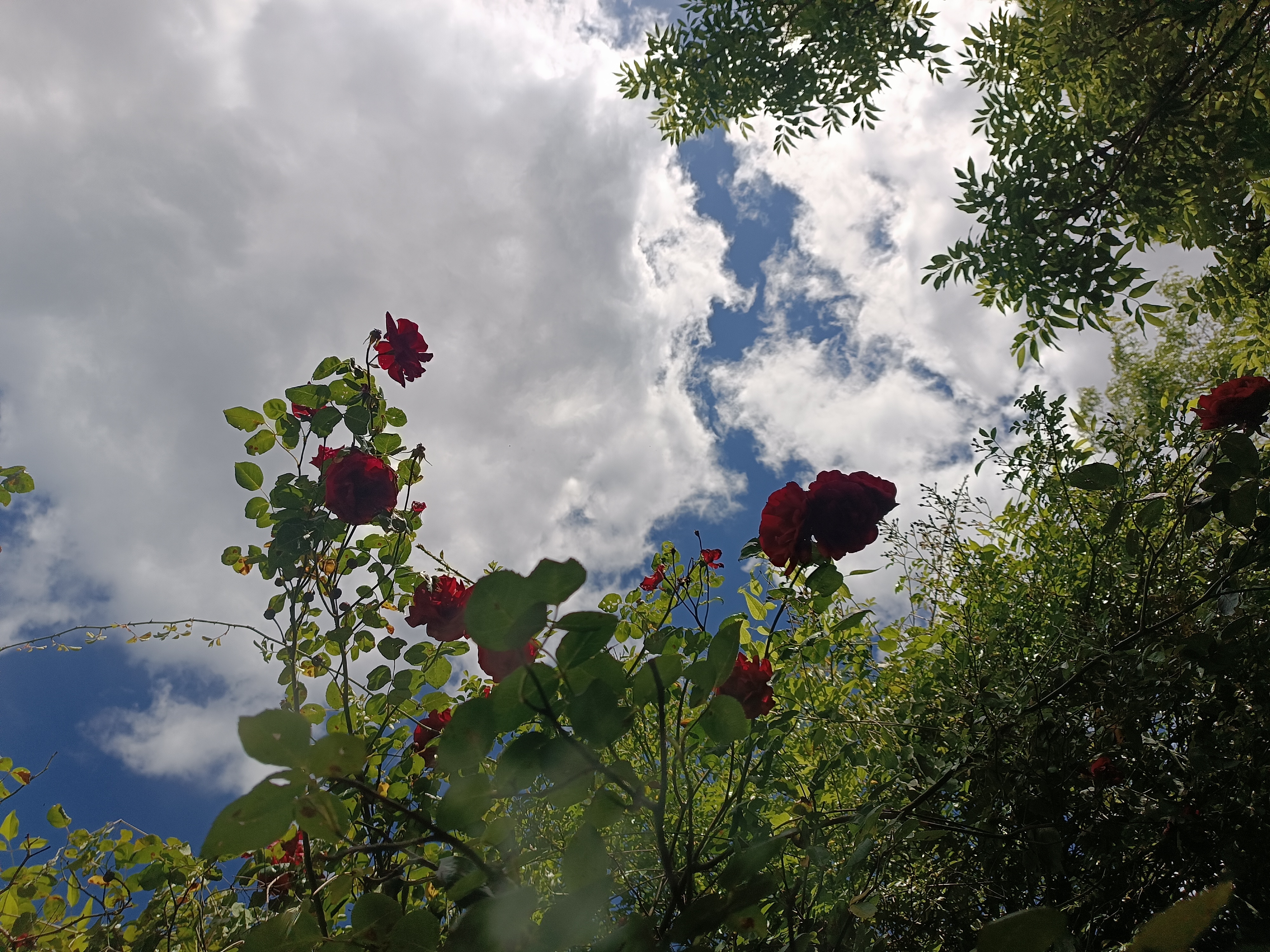 71de840f127d39c96086558093daacdb277cfcc859a83fdbf2dcc16efff6980b.jpeg