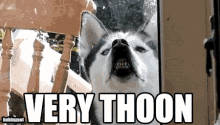 d2019c89a2413094866dc1a17333258cd94a0bf69e7700010bfb3f84598fc682.gif