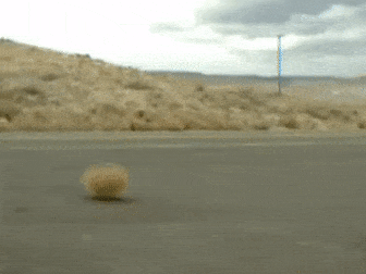 d7f8eb320109d040b49338164eadd418acf2d3286d7013e2a5a5b067fc4d1f70.gif