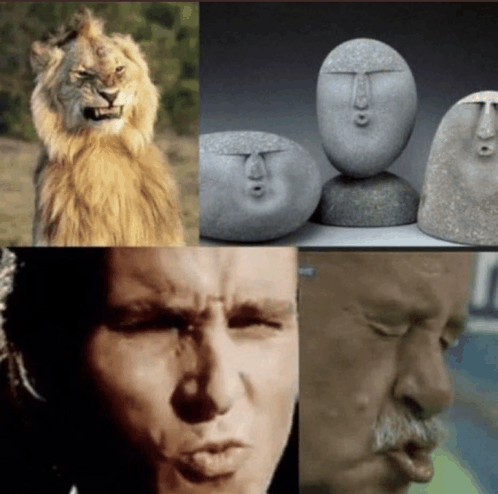 fb01acdc8746eb7d98e0dae3d88c8acb29b8895d4ddcb56d30ce9d06572a2251.png